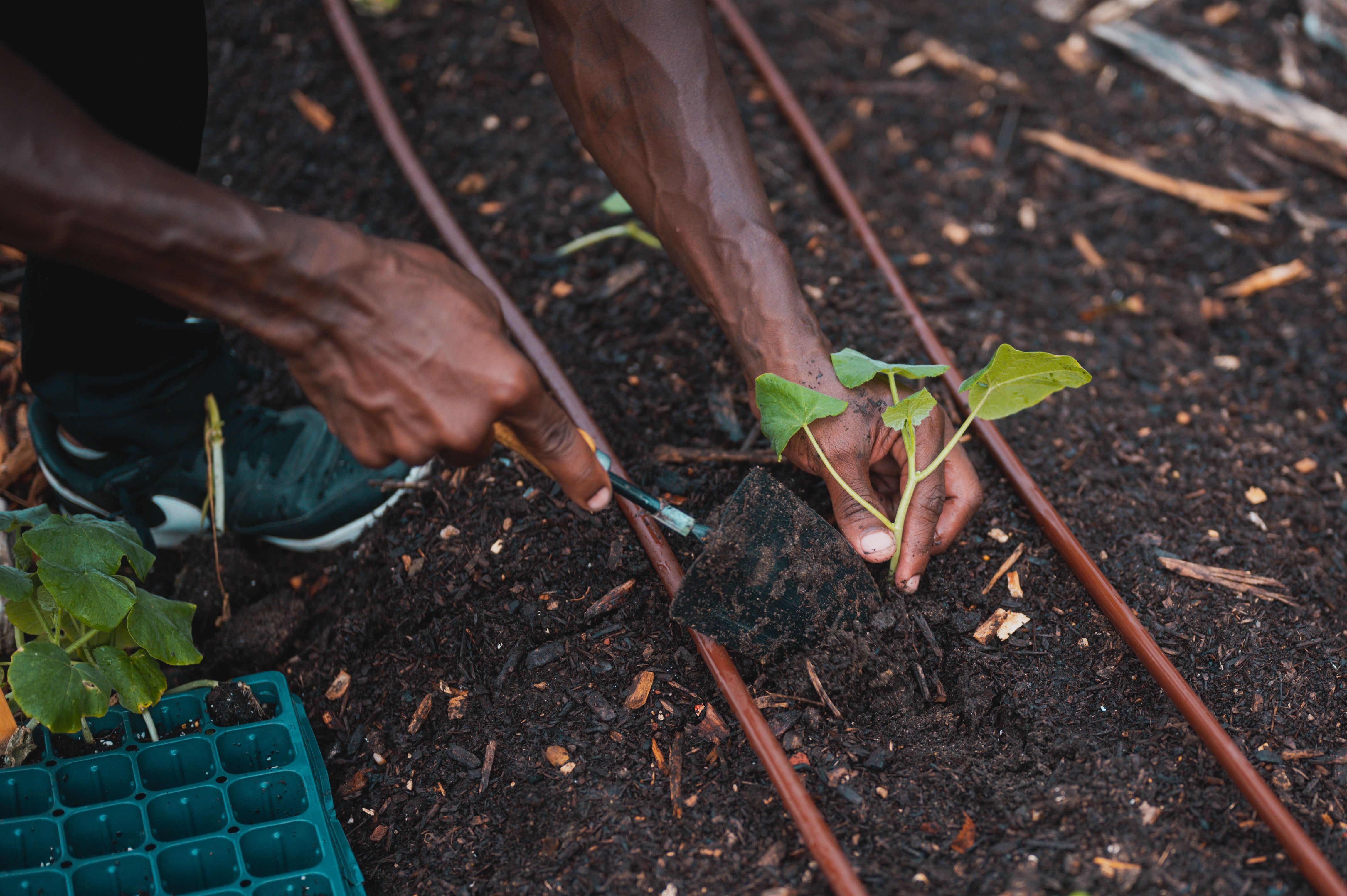 Kit Irrigation