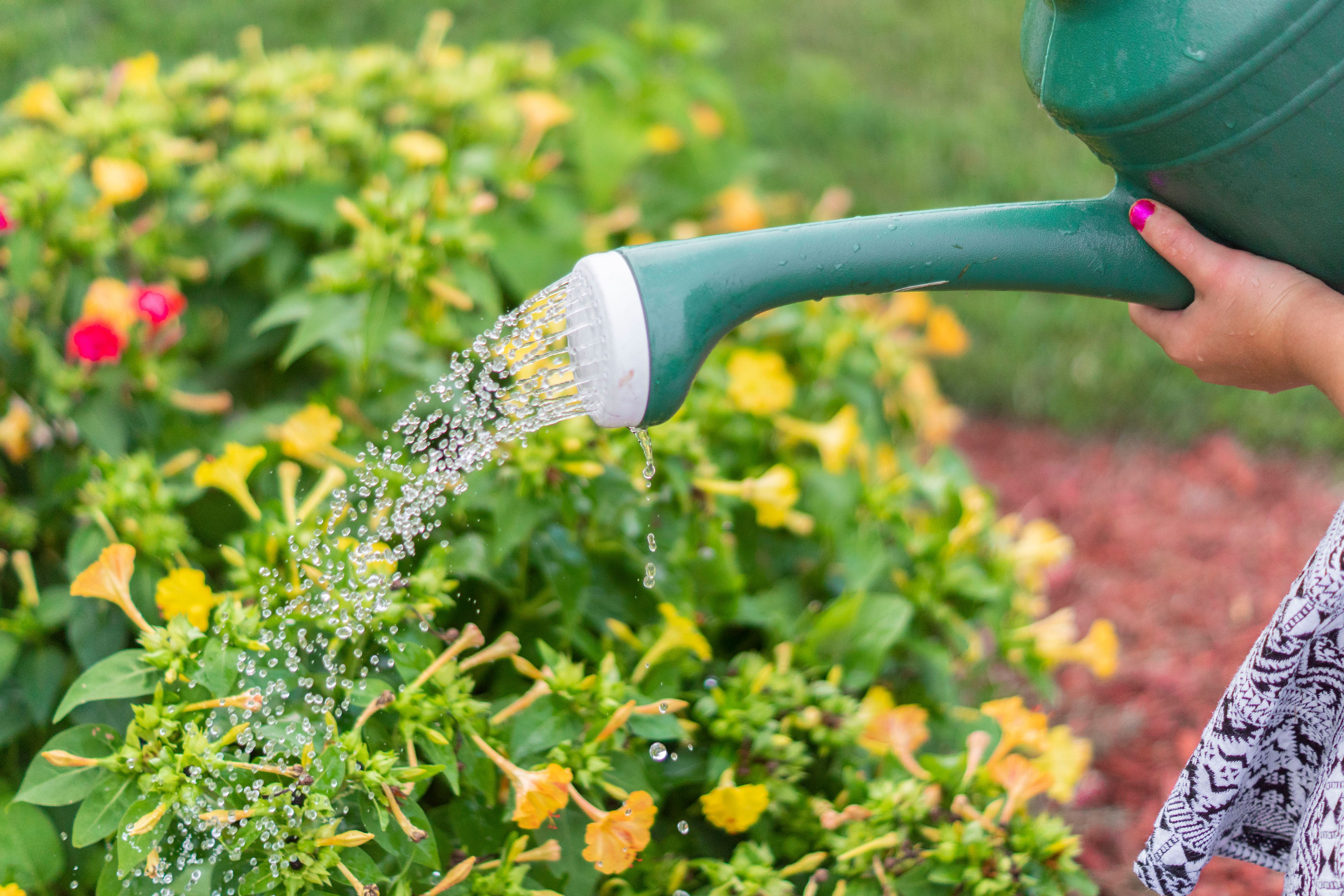 Micro-Irrigation Pour PJ